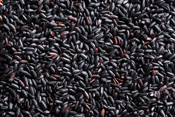 Organic Black Sticky Rice